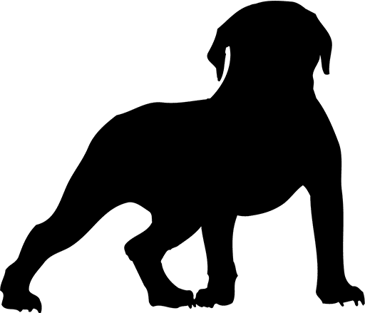 Bullhound AB logotyp